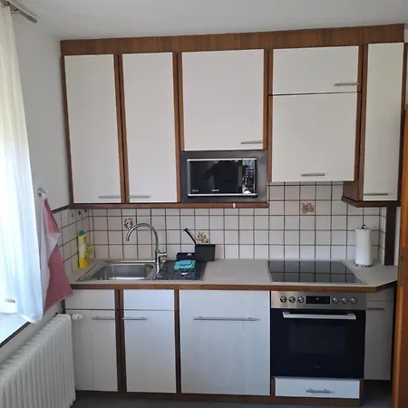 Apartament Fugger Alex 22 *
