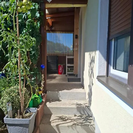 Fugger Alex 22 Apartament *